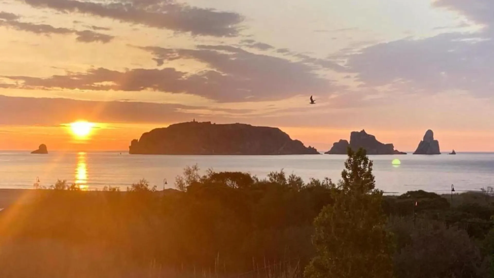 Apartamento Jardins Del Mar 83 L'Estartit